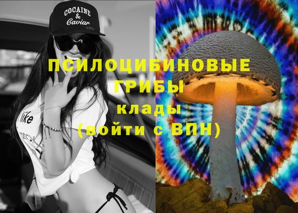 гидра Армянск