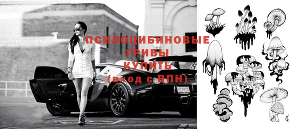 гидра Армянск
