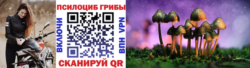 где продают наркотики  Спас-Клепики  Псилоцибиновые грибы Psilocybe 